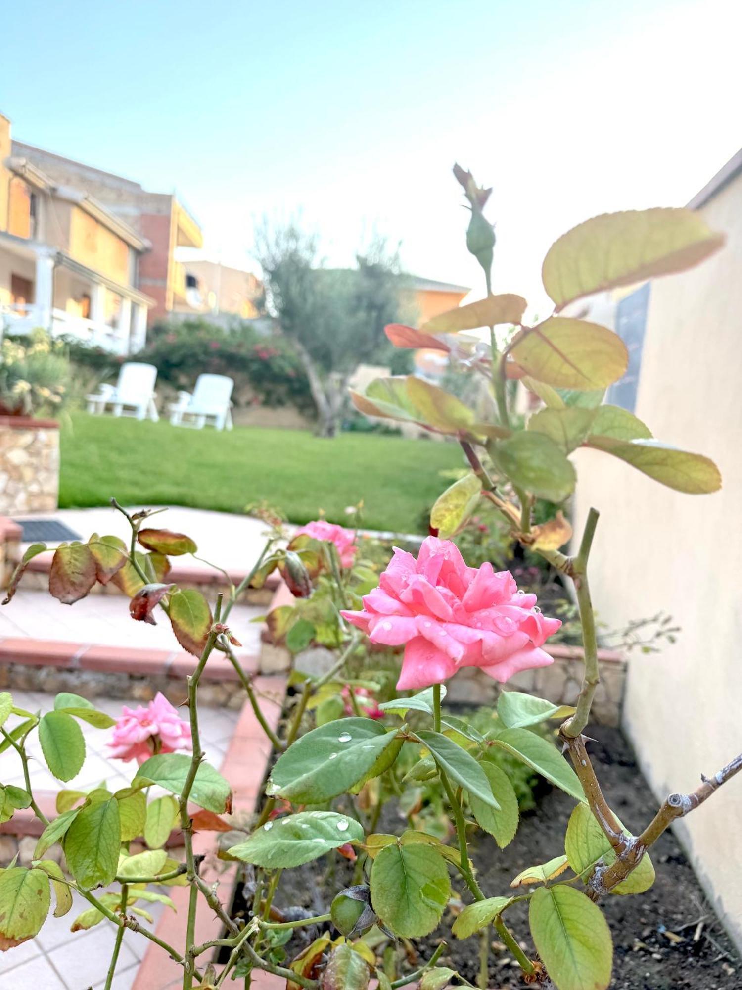 Apartmán Rosa'S House - Zona Ospedaliera Cagliari Exteriér fotografie