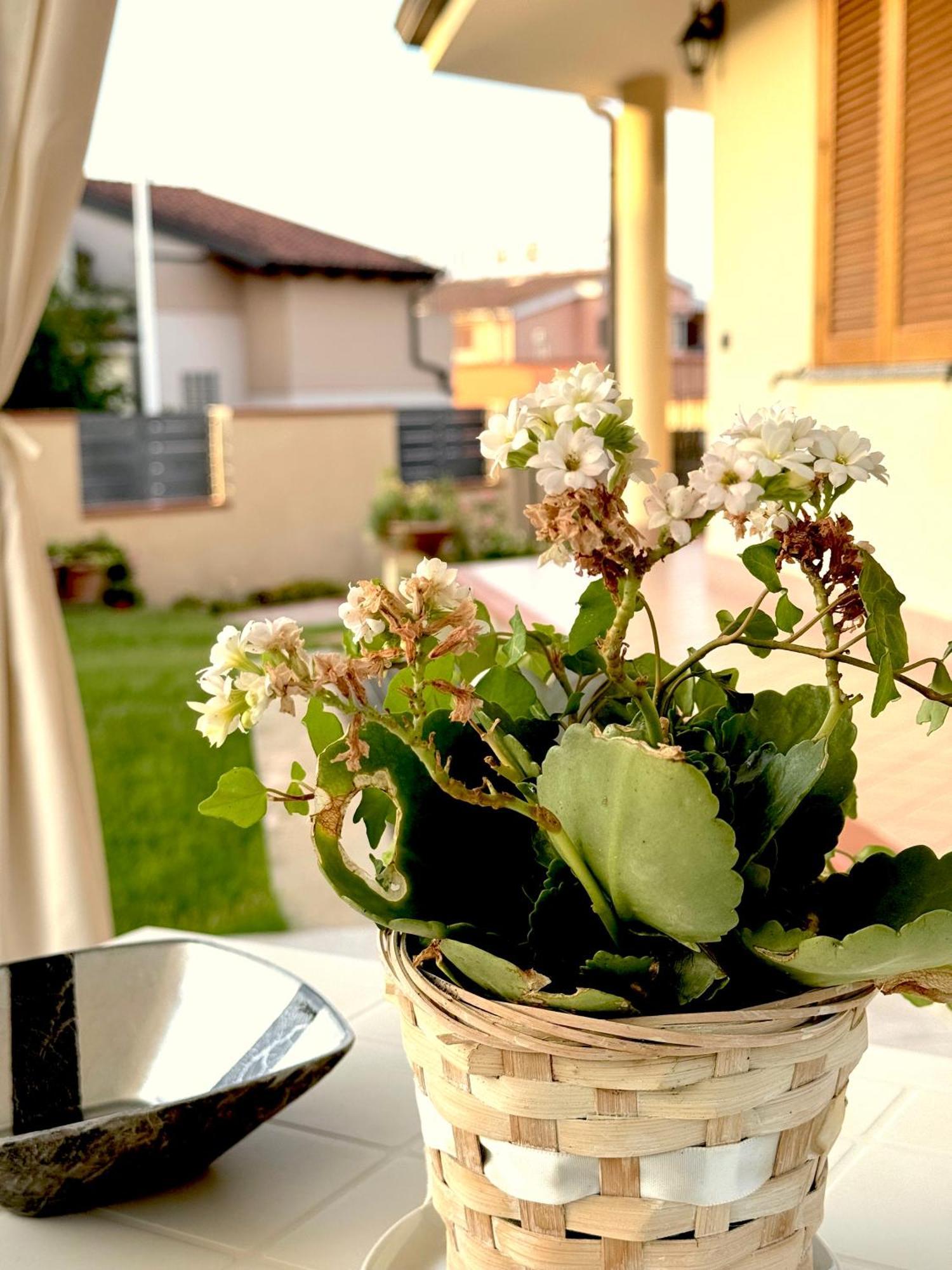Apartmán Rosa'S House - Zona Ospedaliera Cagliari Exteriér fotografie